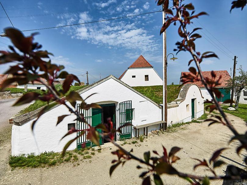 Troadkostn Villa Drasenhofen Kültér fotó